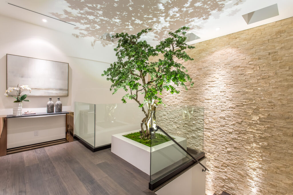 Modern interior with indoor tree and stone wall.