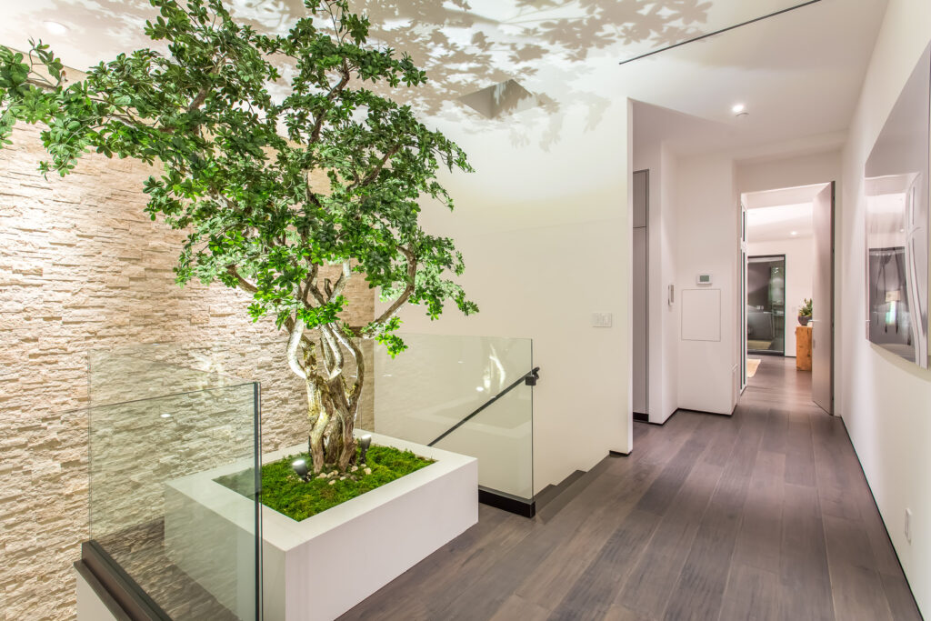 Indoor potted tree in modern home hallway.