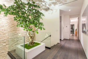 Indoor potted tree in modern home hallway.