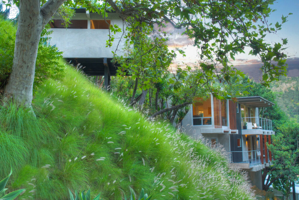 Modern house amidst green hillside foliage at sunset.
