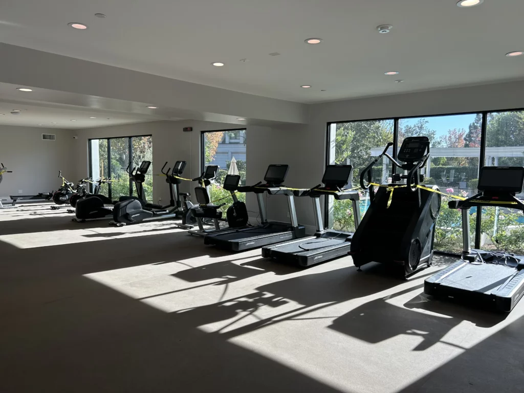 Modern gym interior with cardio equipment.