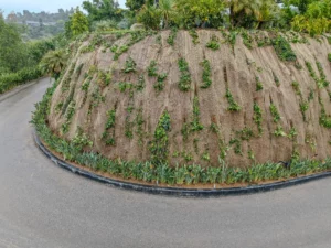 Curved road beside large hill with burlap and plants