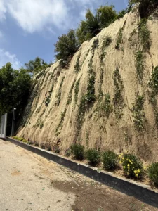 Landscaped slope with burlap and cascading green vines